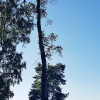2018-06-29 18.48.21_klein